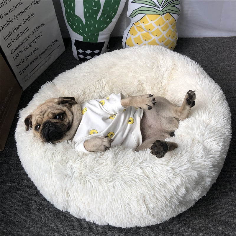 Cama para Cachorro Gato Pet Super Macia de Veludo