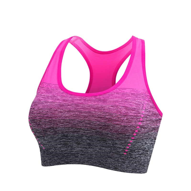 Sutiã Esportivo Feminino