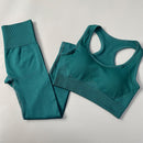 Conjunto Feminino Esportivo Cintura Alta