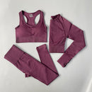 Conjunto Feminino Esportivo Cintura Alta