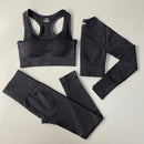 Conjunto Feminino Esportivo Cintura Alta