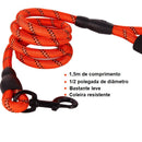 Benefícios do Coleira para Cães e Gatos de Nylon Refletivo