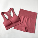 Conjunto Feminino Esportivo Cintura Alta