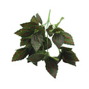 Folhagem Artificial para Sala Parede Decorativa