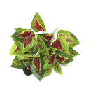 Folhagem Artificial para Sala Parede Decorativa