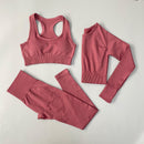 Conjunto Feminino Esportivo Cintura Alta