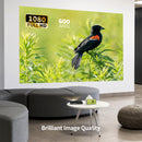 Mini Projetor Wemax Go Advanced 600 Laser Portátil Full HD 1080p 4K