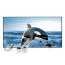 Tela Refletiva Resistente à Luz para Projetor